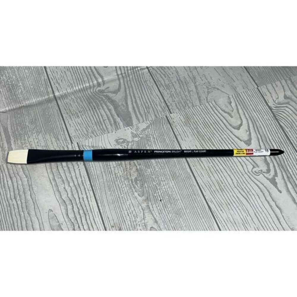 Aspen Princeton 6500 Synthetic Bright 10 Long Handle Oil Paint Brushes BRAND NEW